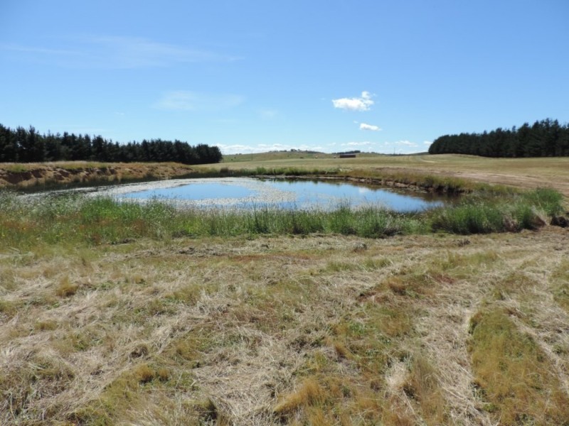 3100 Oallen Ford Road, Windellama NSW 2580