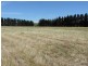 3100 Oallen Ford Road, Windellama NSW 2580