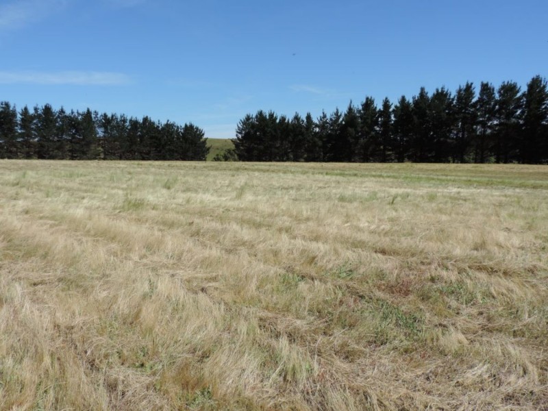 3100 Oallen Ford Road, Windellama NSW 2580
