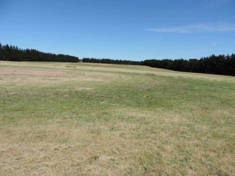 3100 Oallen Ford Road, Windellama NSW 2580