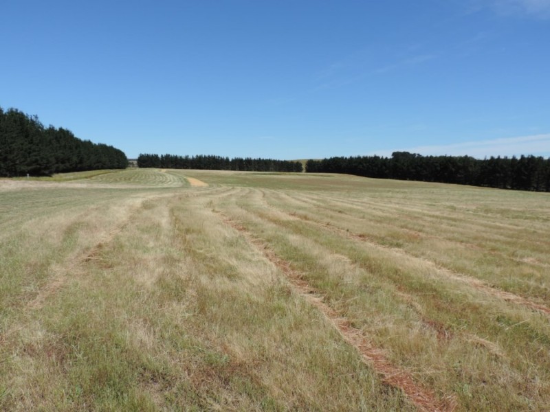 3100 Oallen Ford Road, Windellama NSW 2580