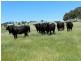 Silverton 2288 Gurrundah Road, Goulburn NSW 2580