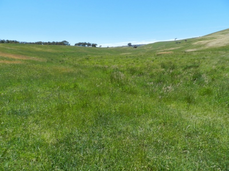 Silverton 2288 Gurrundah Road, Goulburn NSW 2580