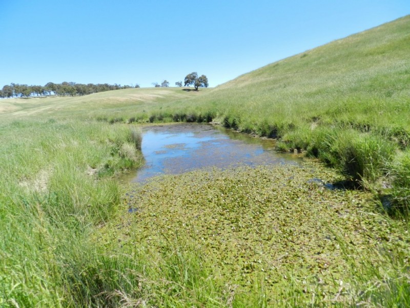 Silverton 2288 Gurrundah Road, Goulburn NSW 2580