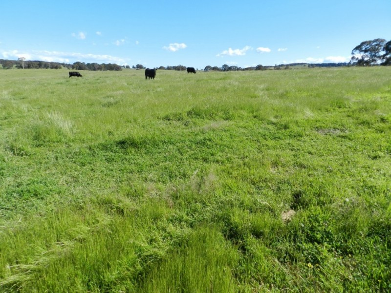 Silverton 2288 Gurrundah Road, Goulburn NSW 2580