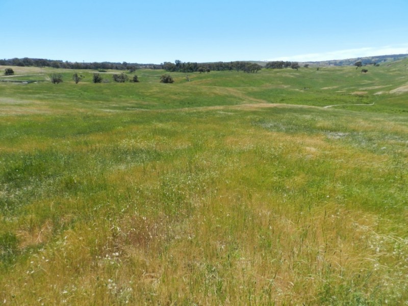 Silverton 2288 Gurrundah Road, Goulburn NSW 2580