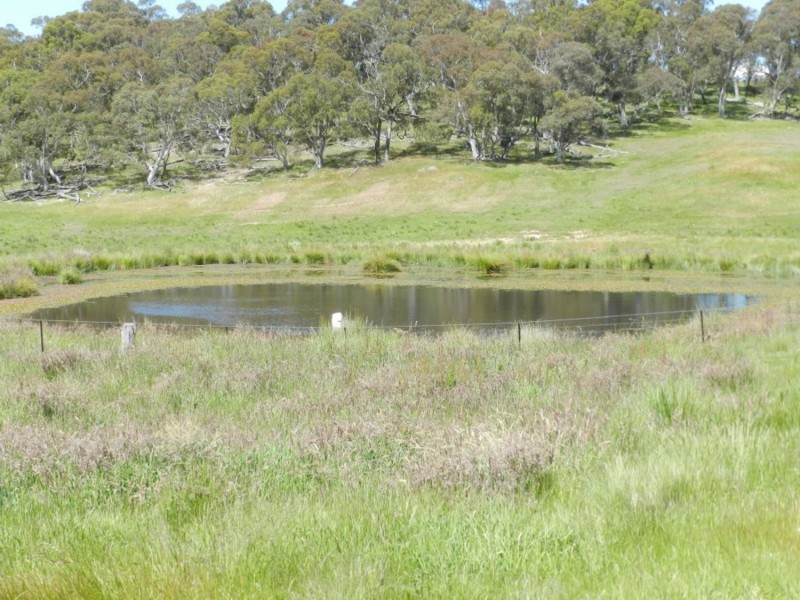 Silverton 2288 Gurrundah Road, Goulburn NSW 2580