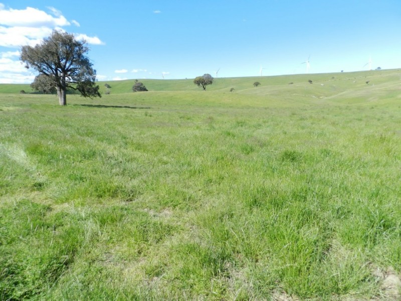 Silverton 2288 Gurrundah Road, Goulburn NSW 2580