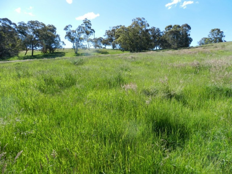 Silverton 2288 Gurrundah Road, Goulburn NSW 2580