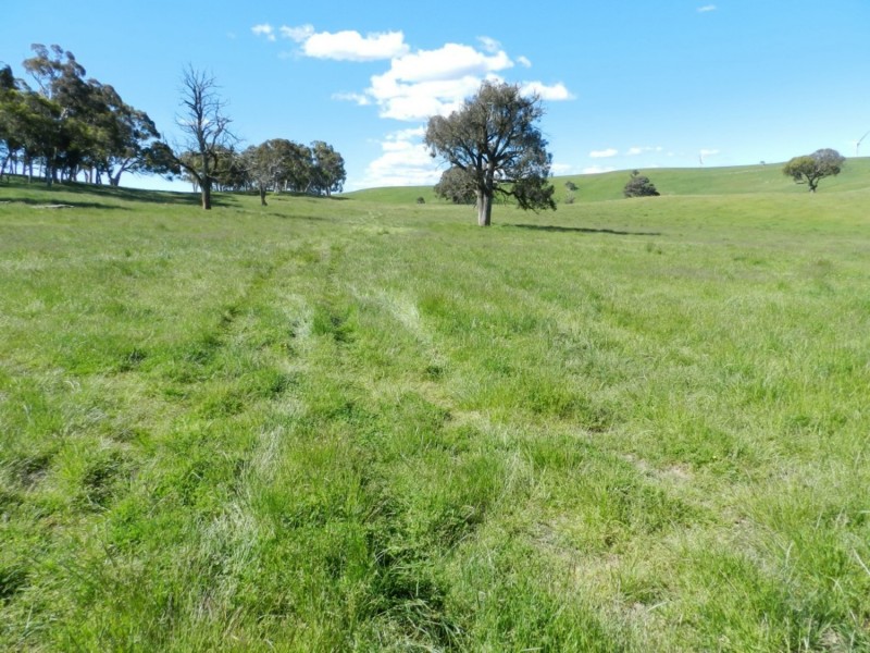 Silverton 2288 Gurrundah Road, Goulburn NSW 2580
