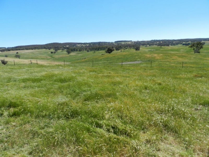 Silverton 2288 Gurrundah Road, Goulburn NSW 2580