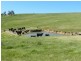 Silverton 2288 Gurrundah Road, Goulburn NSW 2580