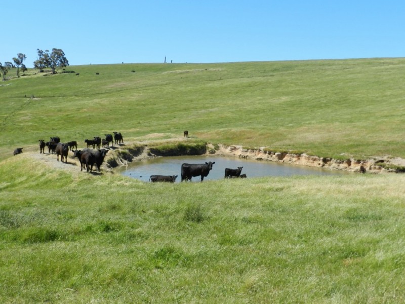 Silverton 2288 Gurrundah Road, Goulburn NSW 2580