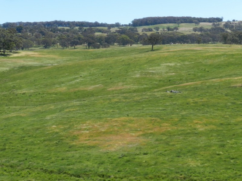 Silverton 2288 Gurrundah Road, Goulburn NSW 2580