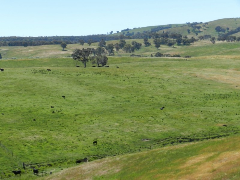 Silverton 2288 Gurrundah Road, Goulburn NSW 2580