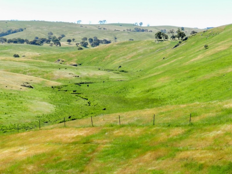Silverton 2288 Gurrundah Road, Goulburn NSW 2580