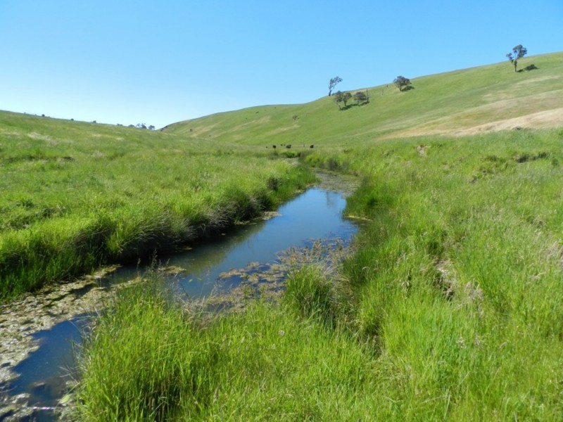 Silverton 2288 Gurrundah Road, Goulburn NSW 2580