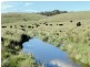 Silverton 2288 Gurrundah Road, Goulburn NSW 2580