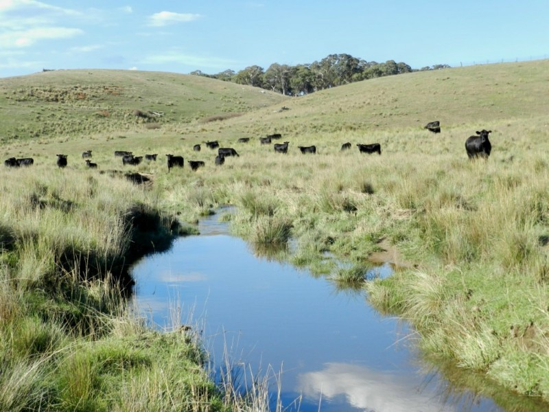 Silverton 2288 Gurrundah Road, Goulburn NSW 2580