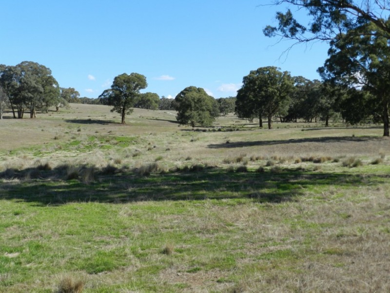 Silverton 2288 Gurrundah Road, Goulburn NSW 2580