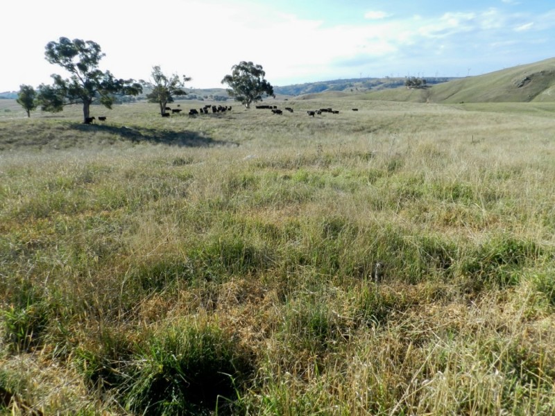 Silverton 2288 Gurrundah Road, Goulburn NSW 2580
