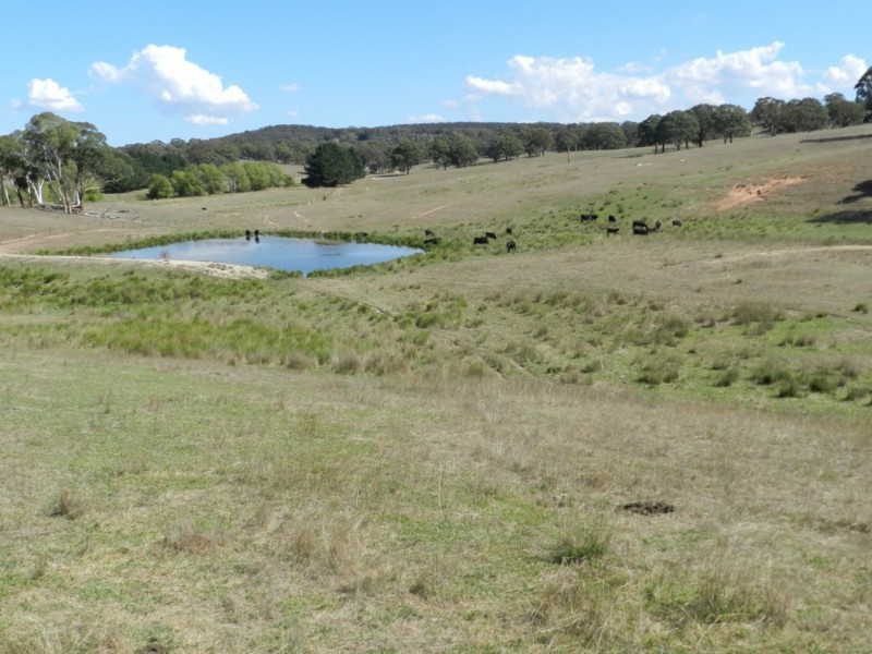 Silverton 2288 Gurrundah Road, Goulburn NSW 2580