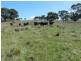 Silverton 2288 Gurrundah Road, Goulburn NSW 2580