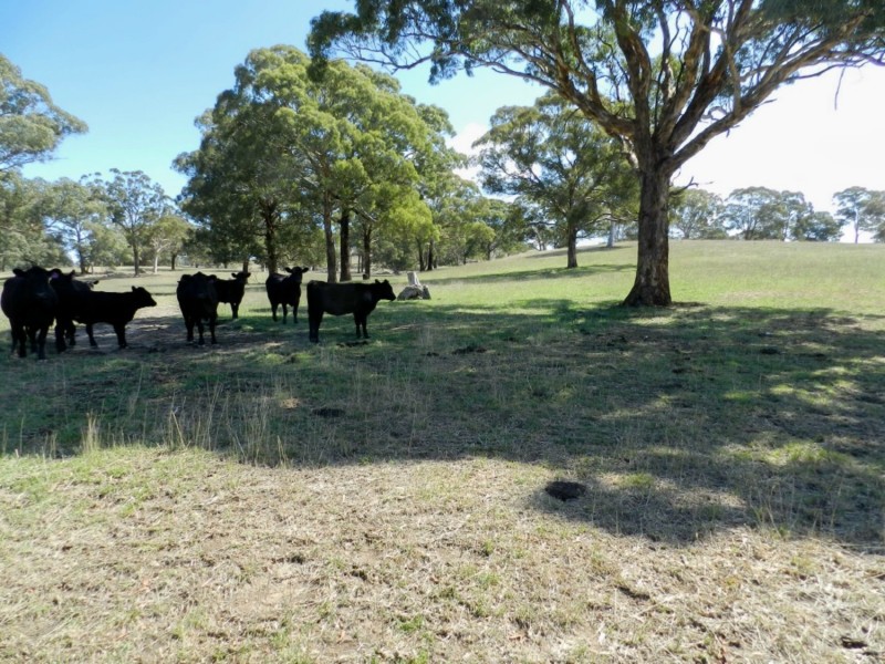 Silverton 2288 Gurrundah Road, Goulburn NSW 2580