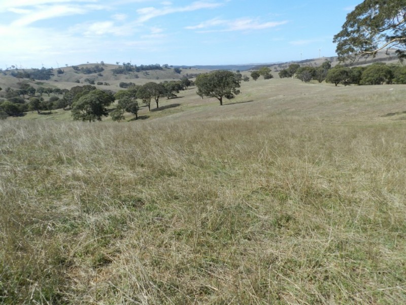 Silverton 2288 Gurrundah Road, Goulburn NSW 2580