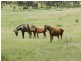 Pomeroy West 2337 Range Road, Goulburn NSW 2580