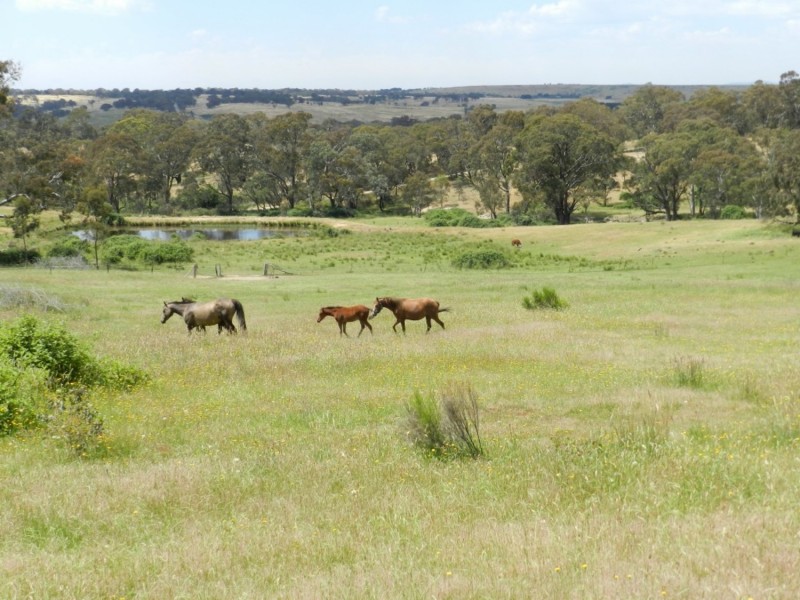 Pomeroy West 2337 Range Road, Goulburn NSW 2580