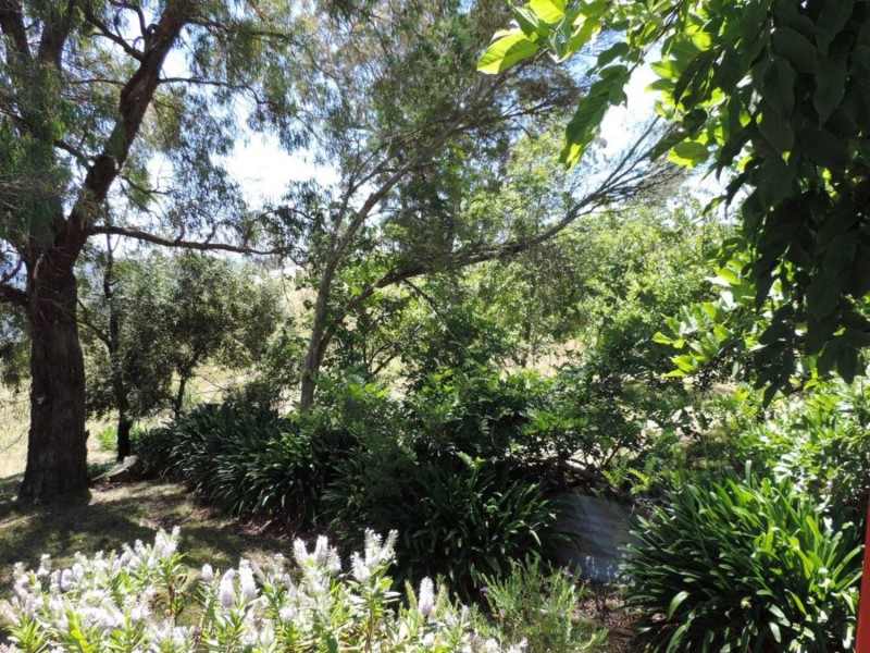 500 Rocklilly Road, Wombeyan Caves NSW 2580