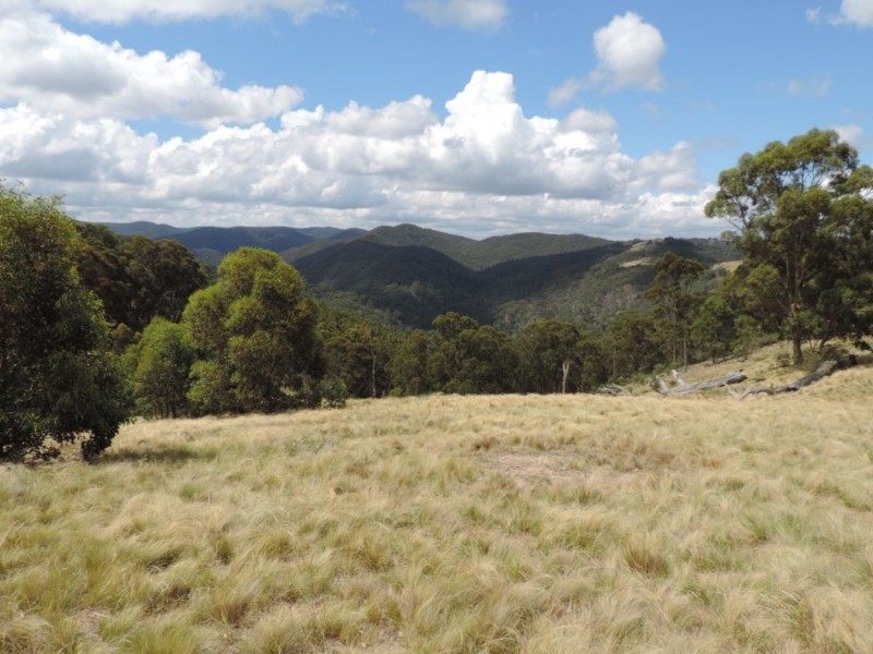 391 Rocklilly Road, Wombeyan Caves NSW 2580
