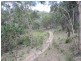 391 Rocklilly Road, Wombeyan Caves NSW 2580