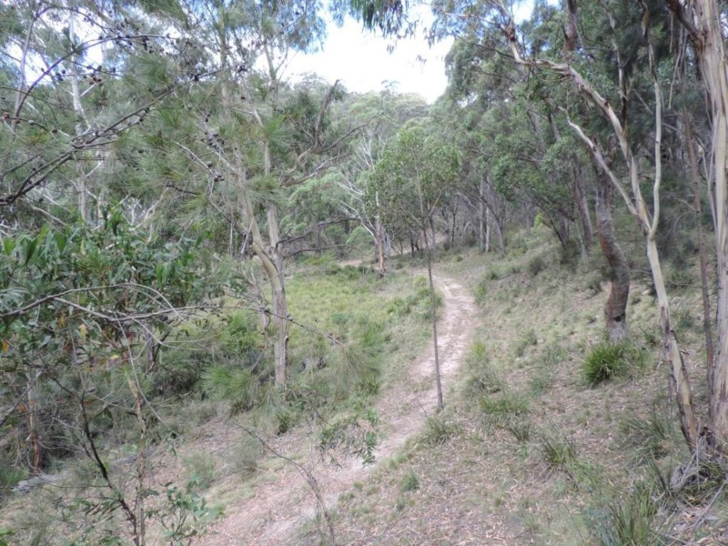 391 Rocklilly Road, Wombeyan Caves NSW 2580