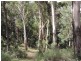 391 Rocklilly Road, Wombeyan Caves NSW 2580