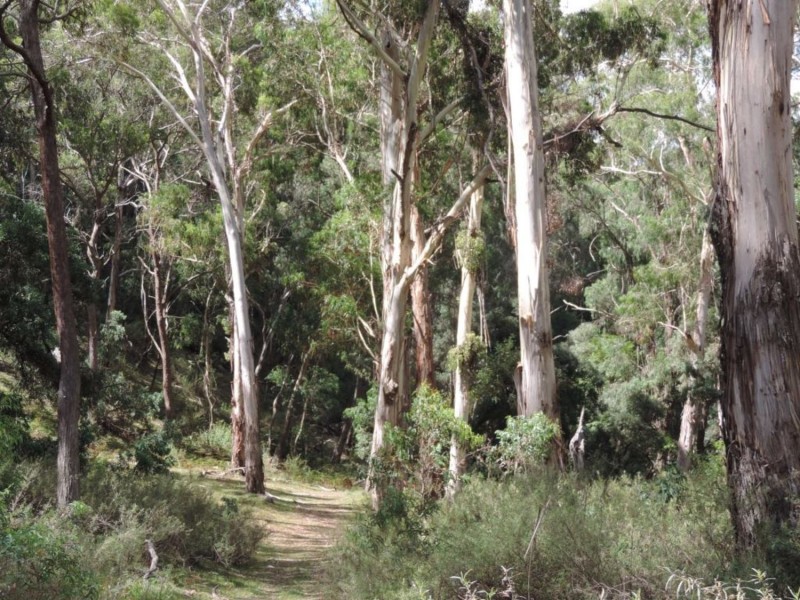 391 Rocklilly Road, Wombeyan Caves NSW 2580