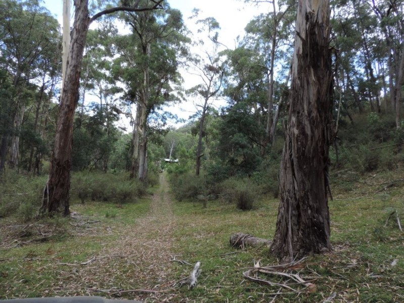 391 Rocklilly Road, Wombeyan Caves NSW 2580