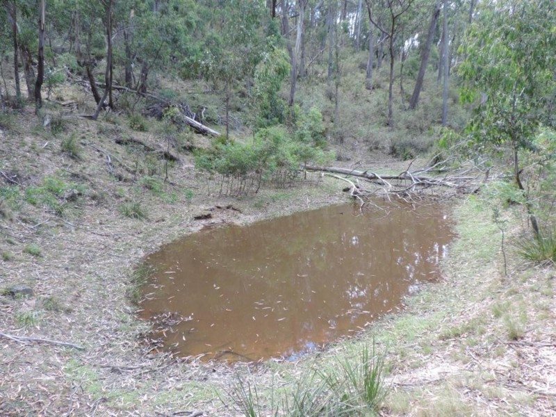 391 Rocklilly Road, Wombeyan Caves NSW 2580