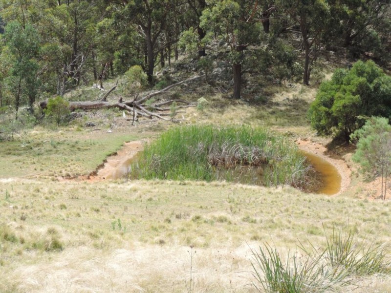 391 Rocklilly Road, Wombeyan Caves NSW 2580