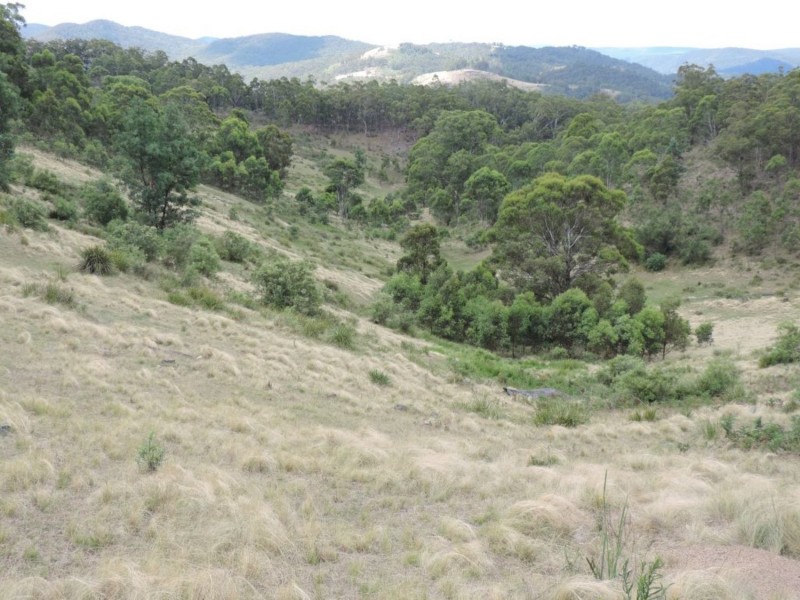 391 Rocklilly Road, Wombeyan Caves NSW 2580