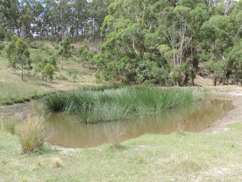 391 Rocklilly Road, Wombeyan Caves NSW 2580