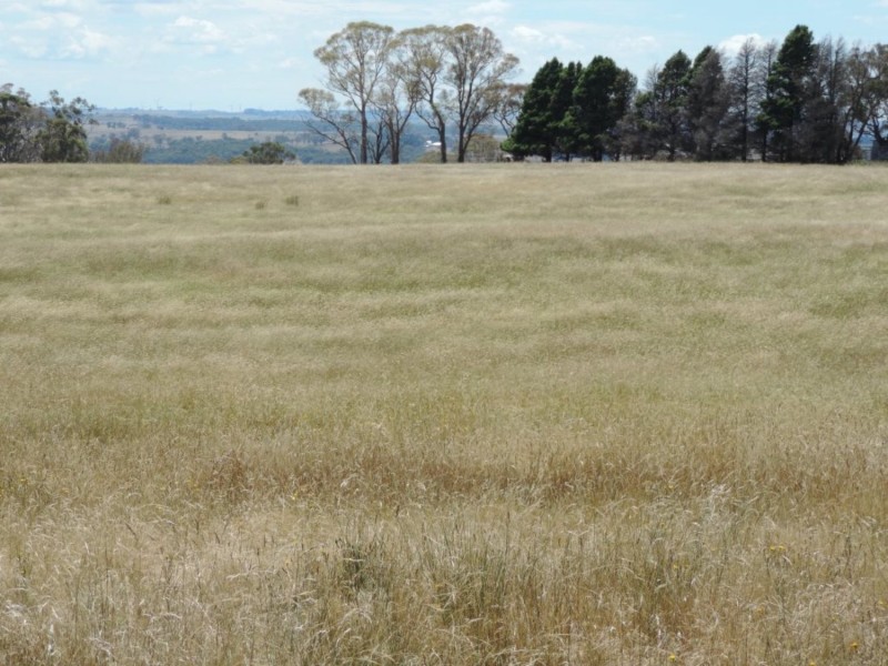 266 Bannister Lane, Bannister NSW 2580