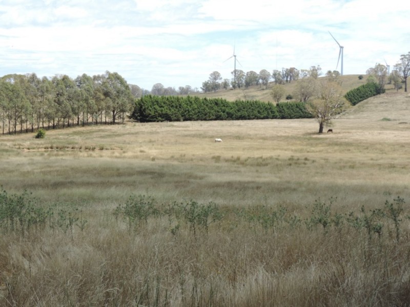 266 Bannister Lane, Bannister NSW 2580