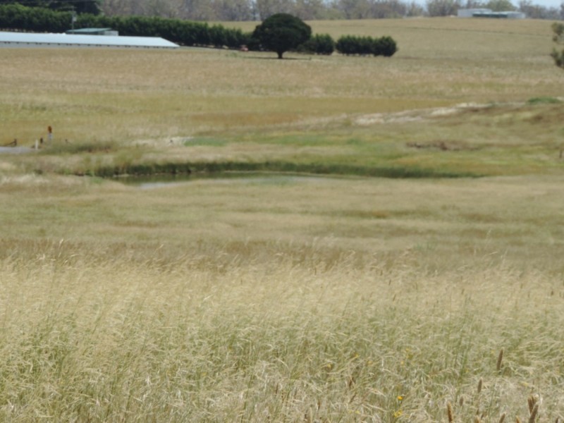 266 Bannister Lane, Bannister NSW 2580