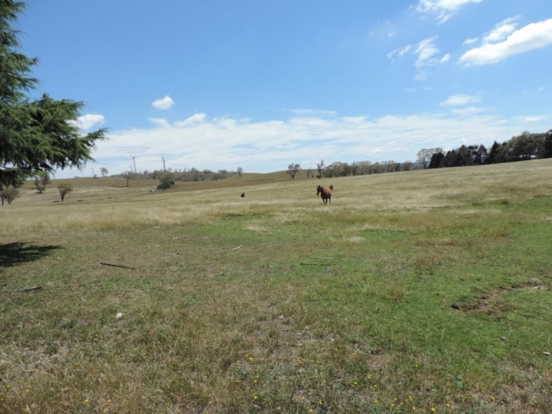 266 Bannister Lane, Bannister NSW 2580