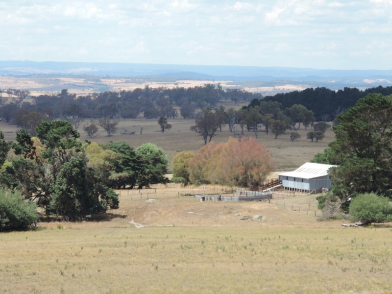 2213 Taralga Road, Laggan NSW 2583
