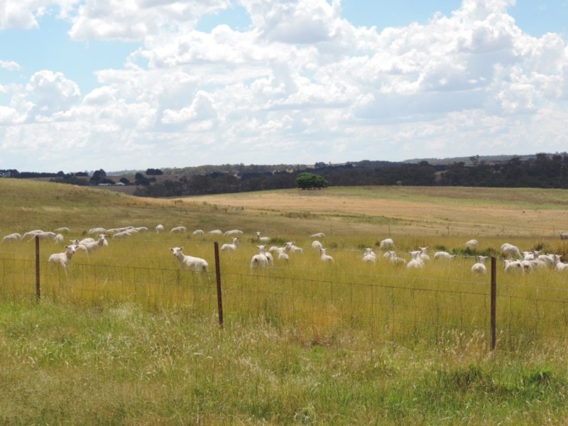 2213 Taralga Road, Laggan NSW 2583