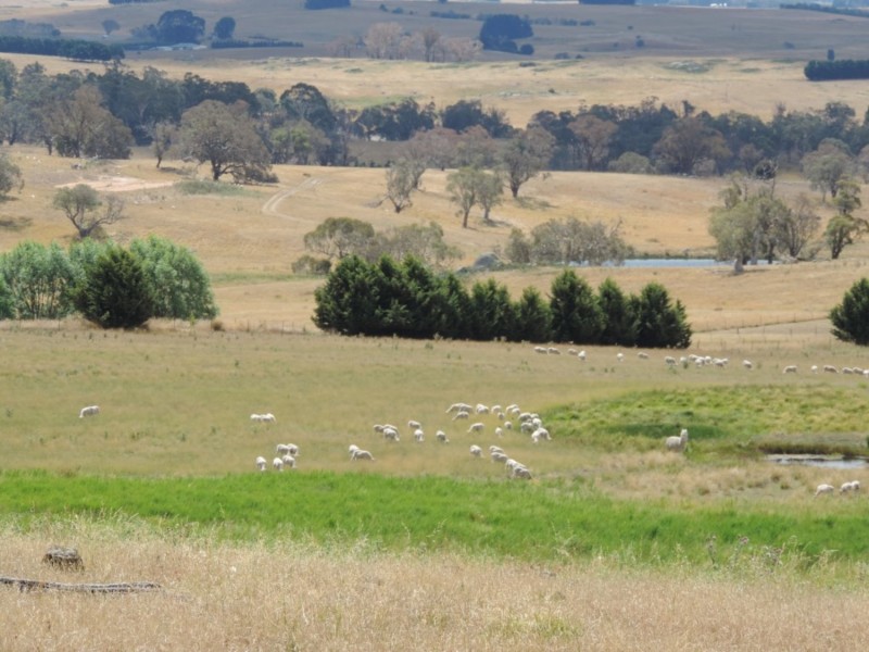 2213 Taralga Road, Laggan NSW 2583