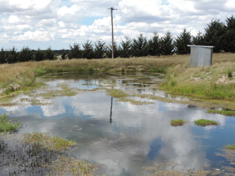 2213 Taralga Road, Laggan NSW 2583